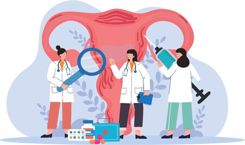 經濟預算有限？高性價比試管移植方案實操攻略